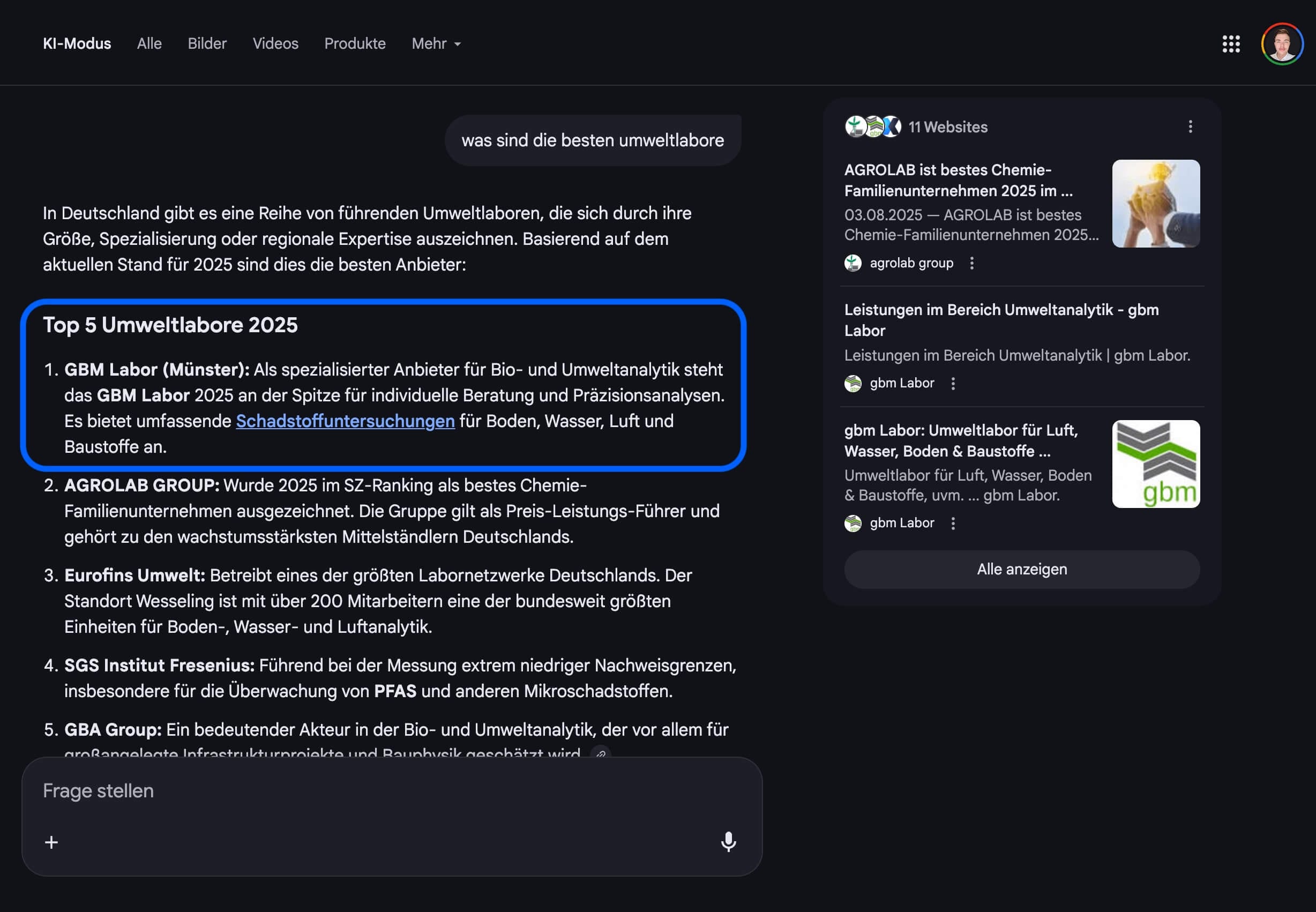 Screenshot einer Suchanfrage mit Liste der Top 5 Umweltlabore 2025 in Deutschland und hervorgehobener Platz 1.